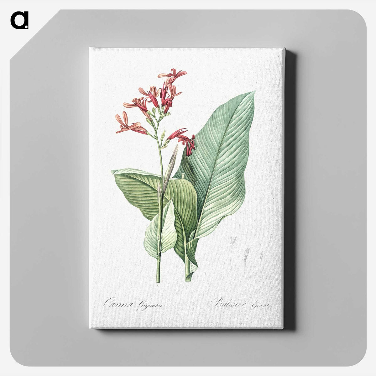 1-57_The-Lilies_canvas