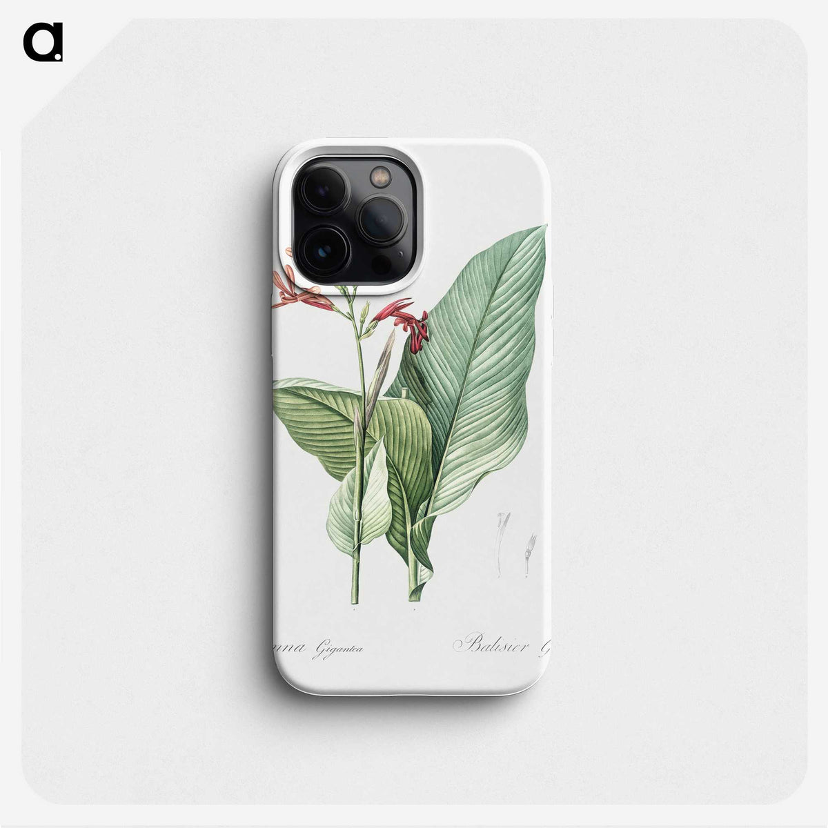 1-57_The-Lilies_phone