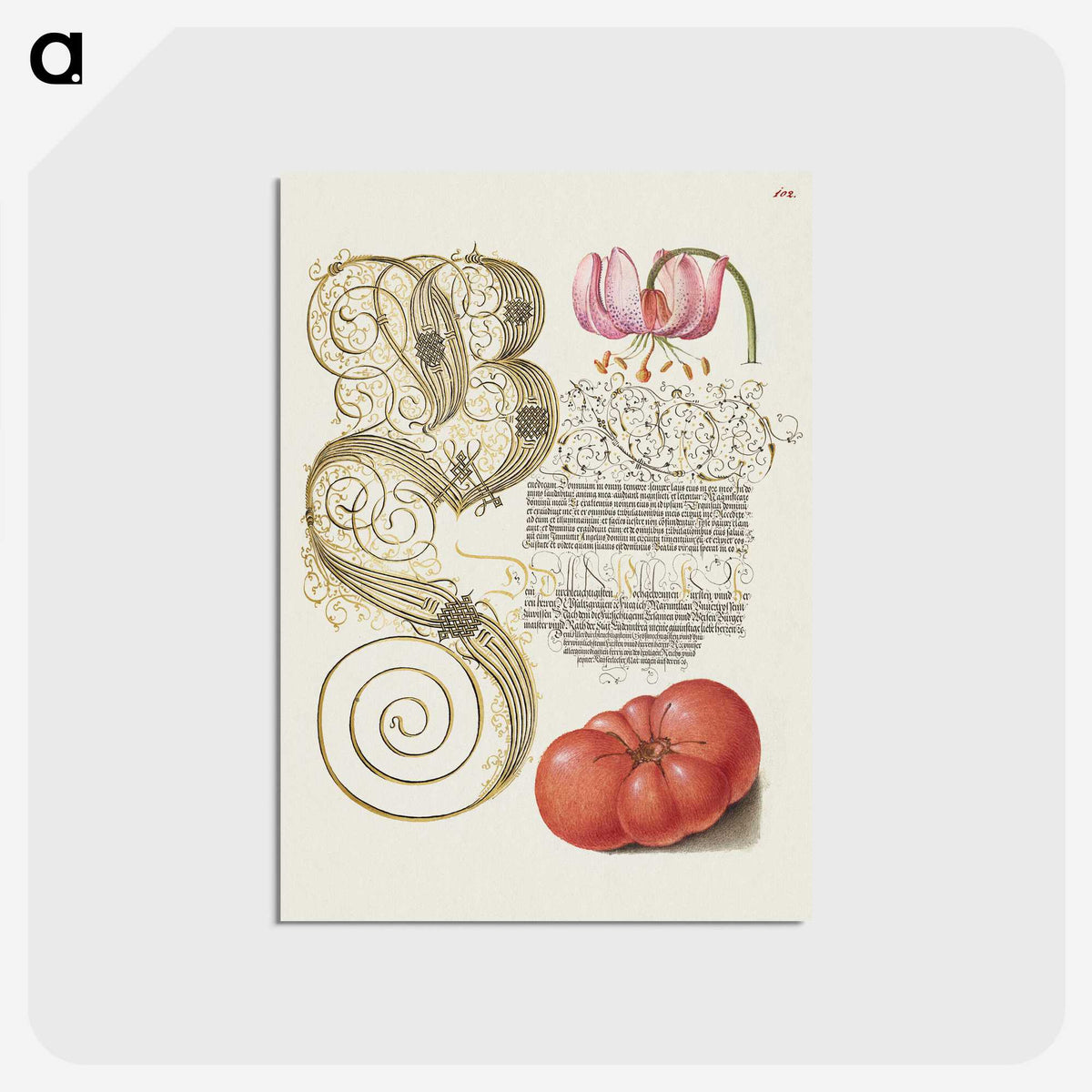 1-57_The-Model-Book-of-Calligraphy_postcard