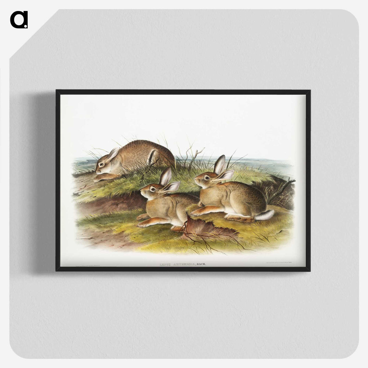 1-57_The-Viviparous-Quadrupeds_blk-crop