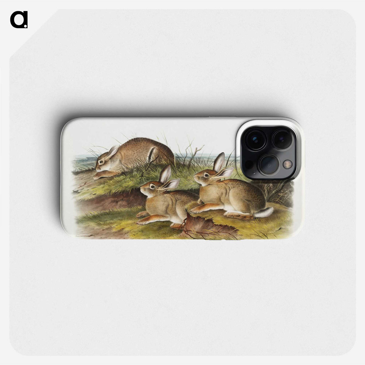 1-57_The-Viviparous-Quadrupeds_phone