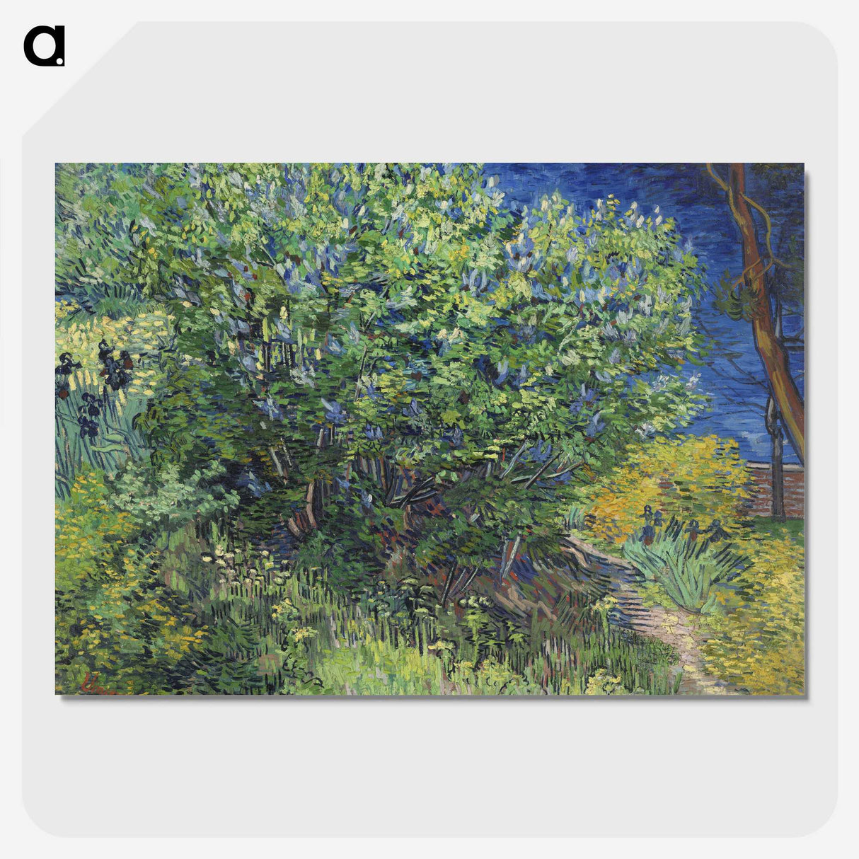 1-57_Vincent-van-Gogh_picture-crop