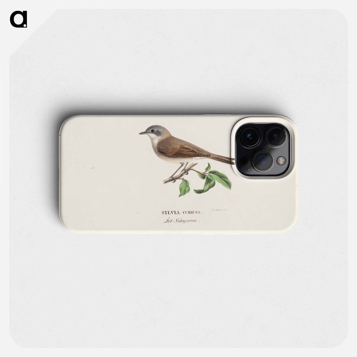 Lesser whitethroat - Wilhelm von Wright Phone Case.