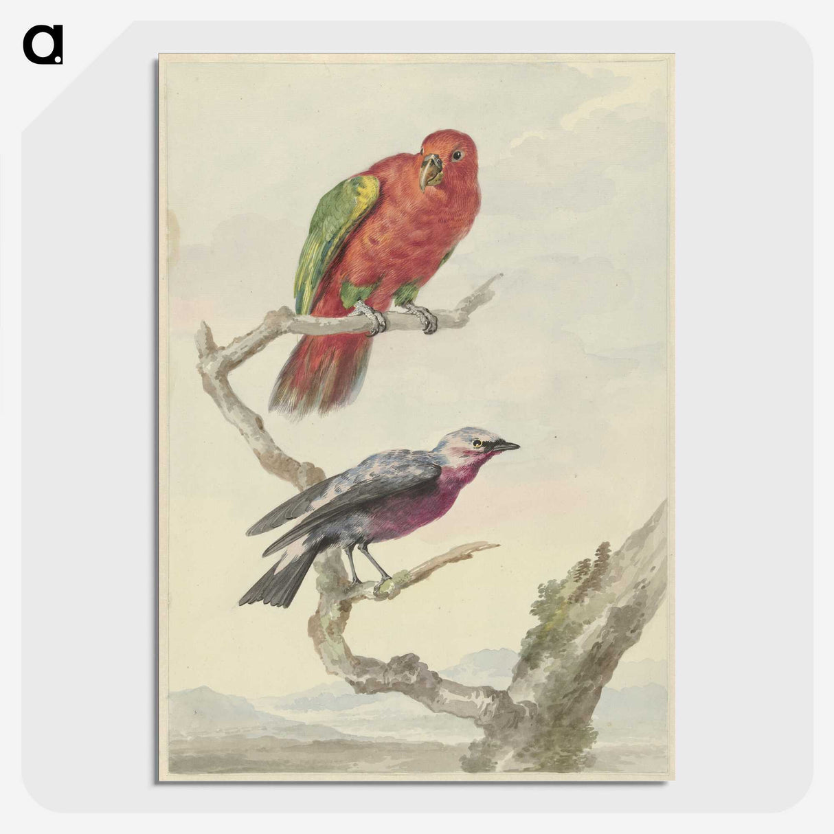 1-58_Aert-Schouman_picture-crop