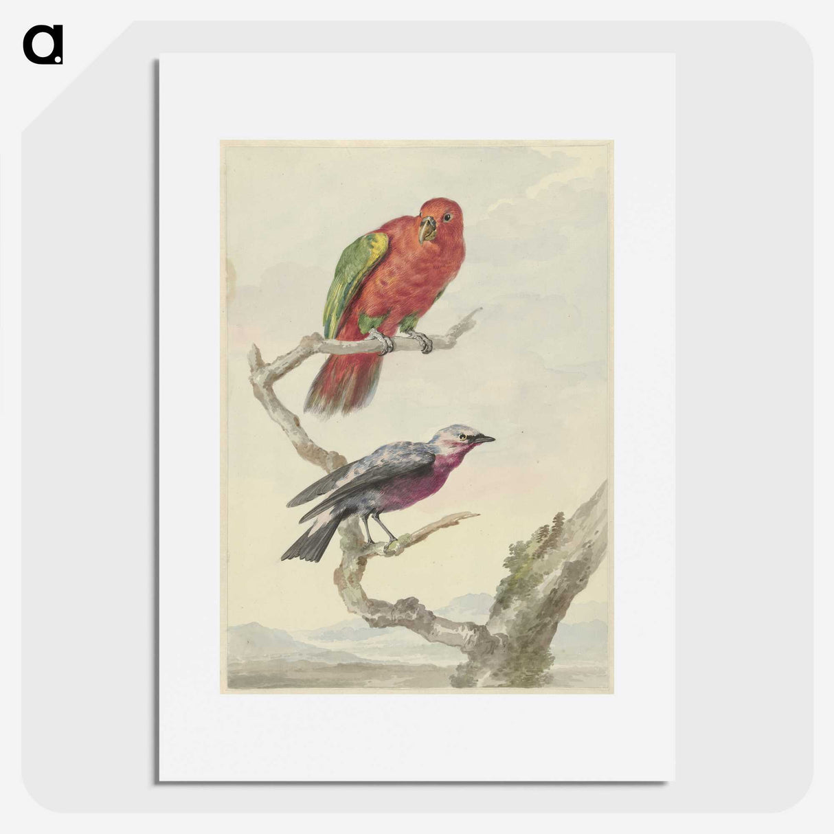 1-58_Aert-Schouman_picture