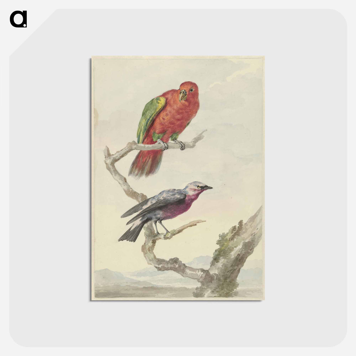 Twee vogels - アールト シューマン Postcard.