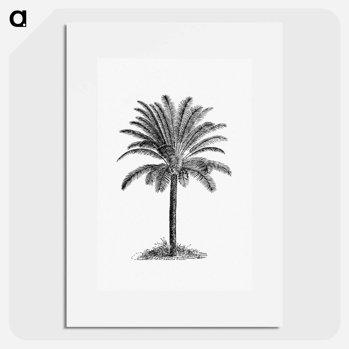 アートポスター-Palm Tree
- 大英図書館 Poster.