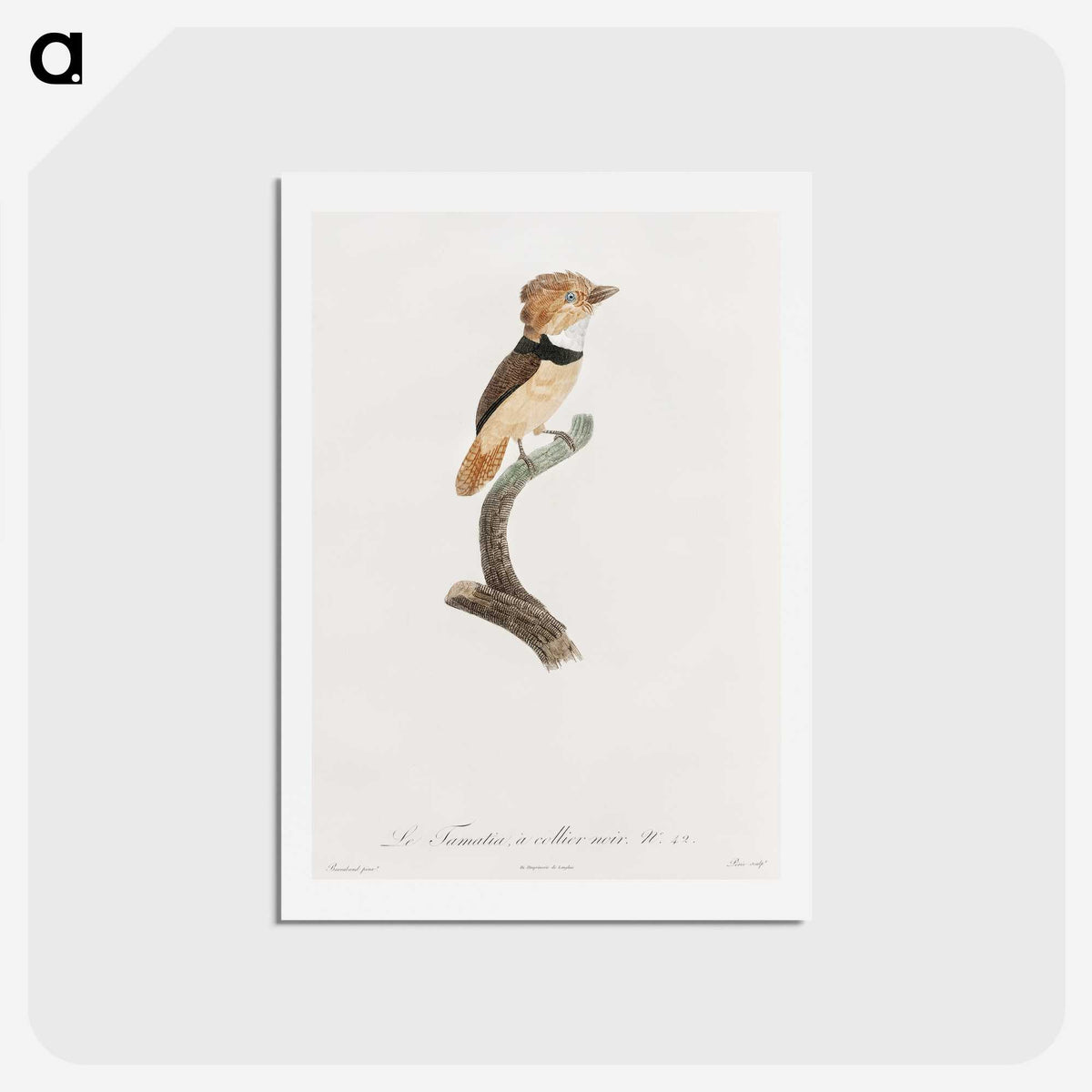 1-58_Des-Oiseaux-de-Paradis_hagaki