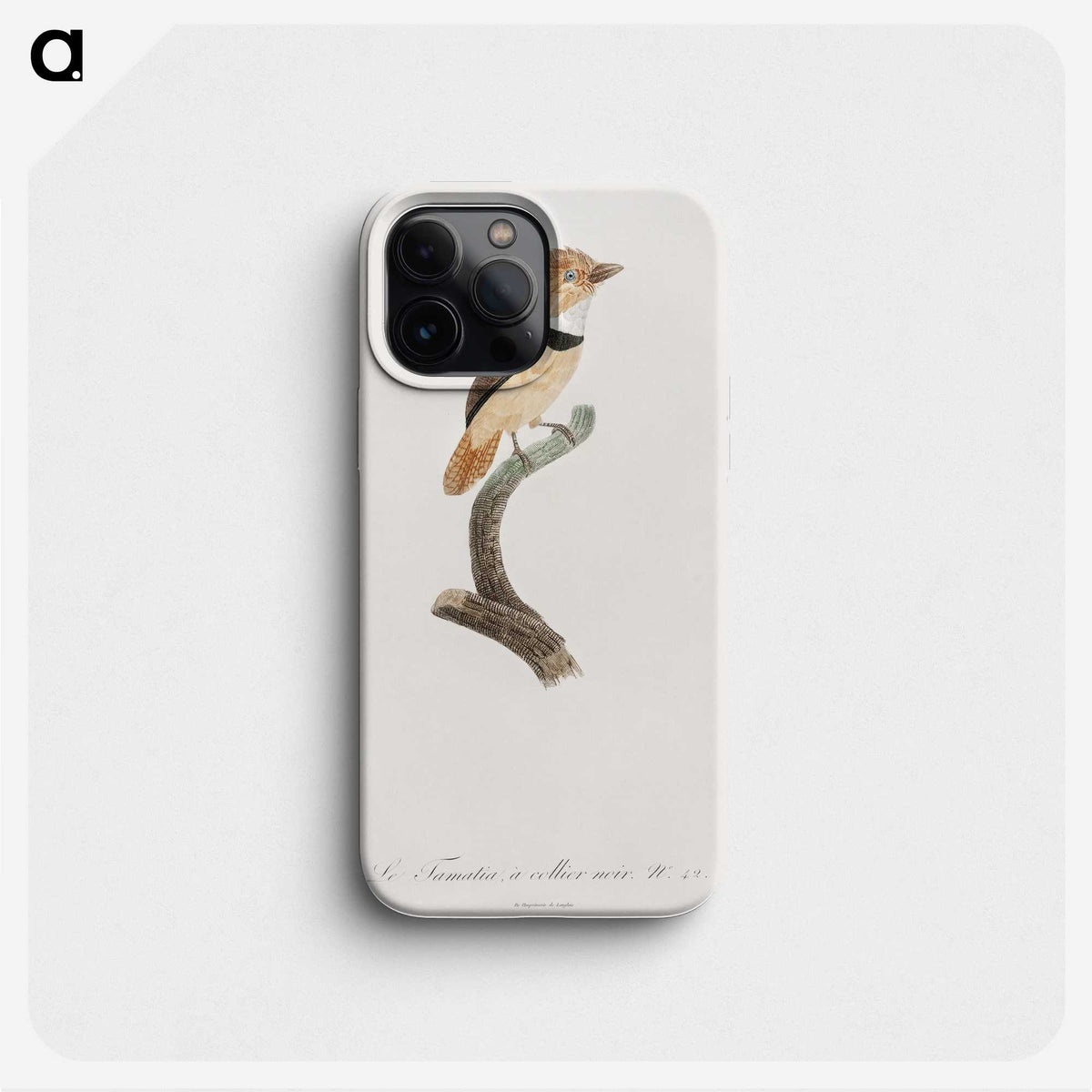 1-58_Des-Oiseaux-de-Paradis_phone