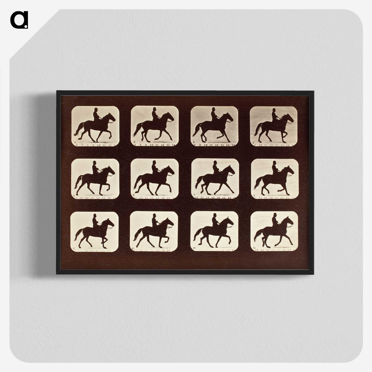 1-58_Eadweard-Muybridge_blk-crop