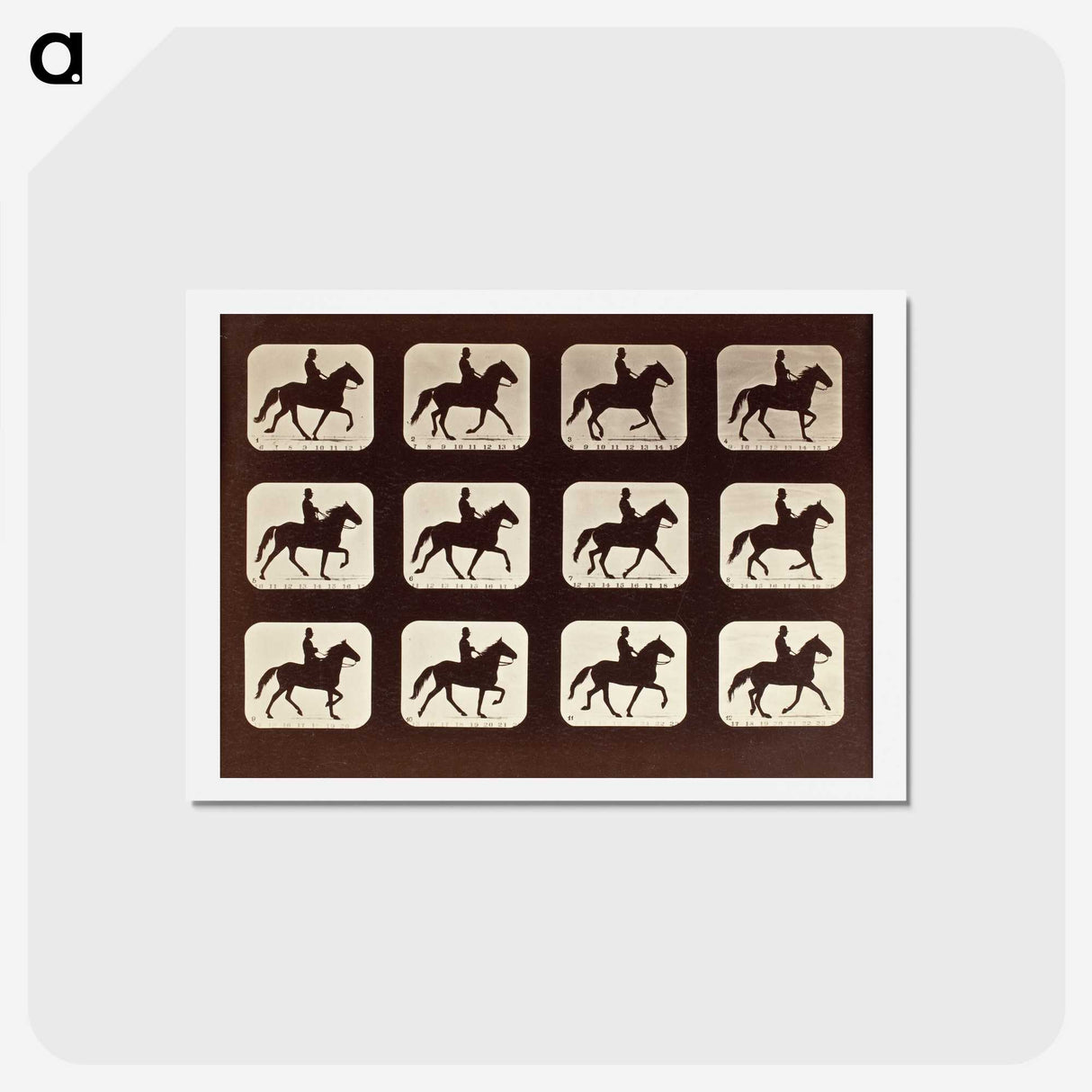 1-58_Eadweard-Muybridge_hagaki