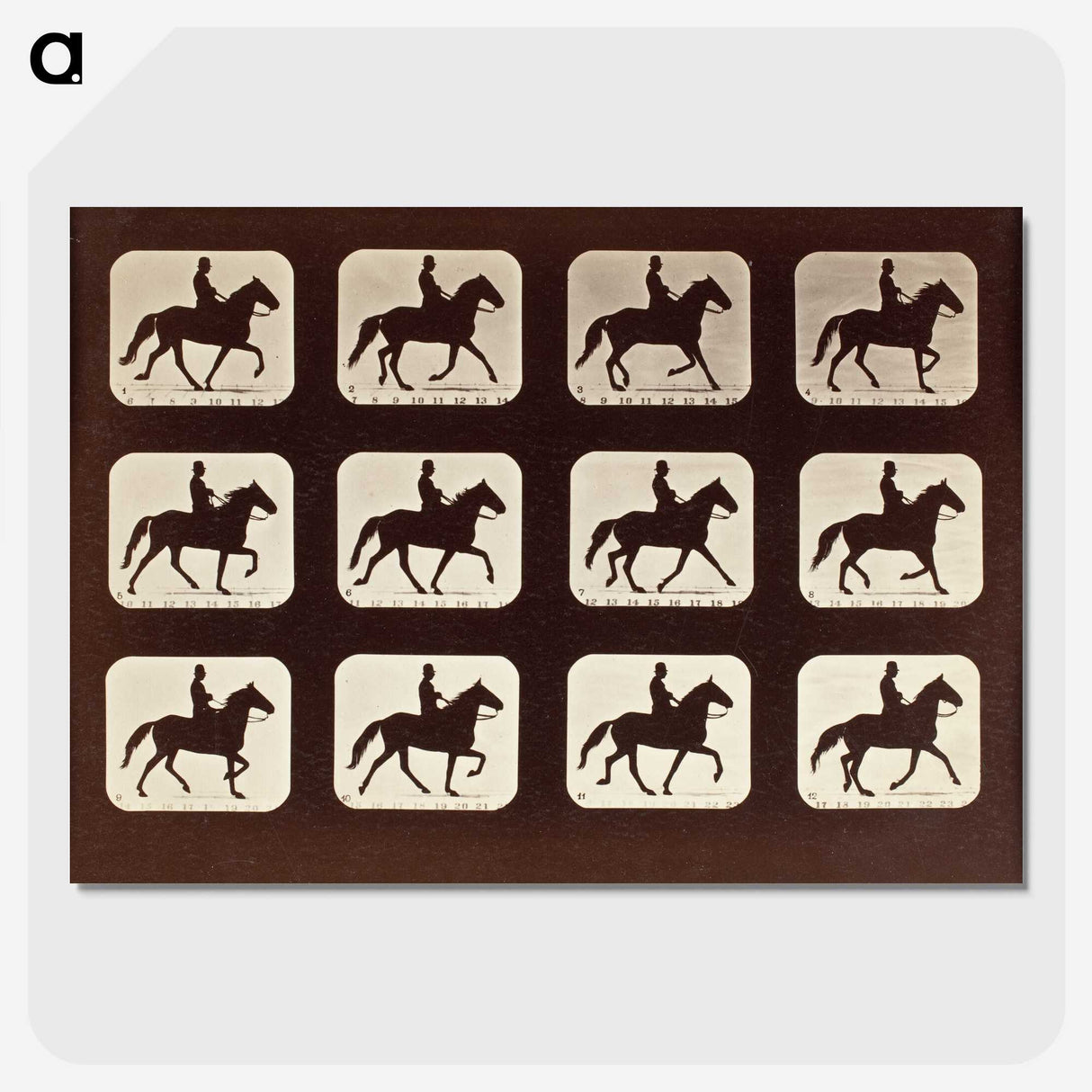 1-58_Eadweard-Muybridge_picture-crop