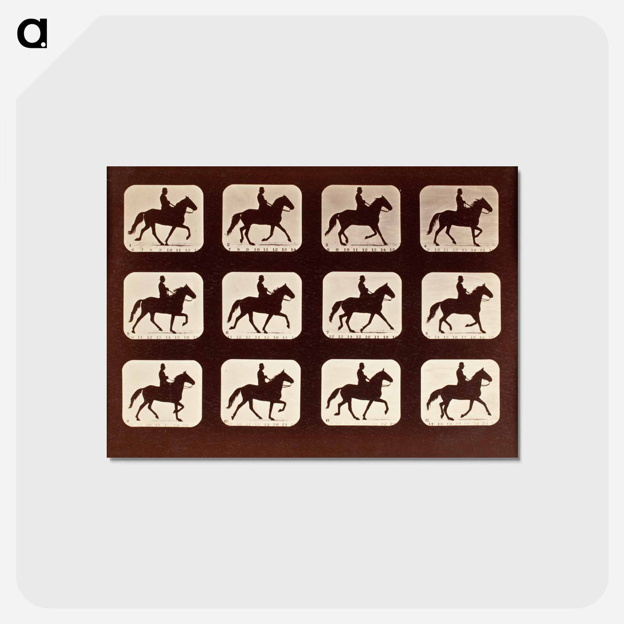アートポストカード-The Amble: One Stride in Eleven Phases
- エドワード マイブリッジ Postcard.