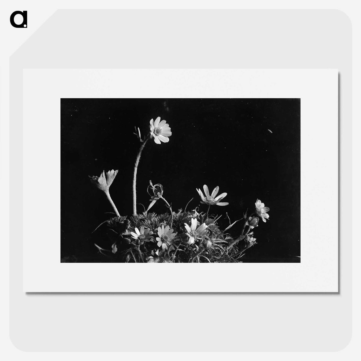 1-58_Frederick-Charles-Brockett_picture