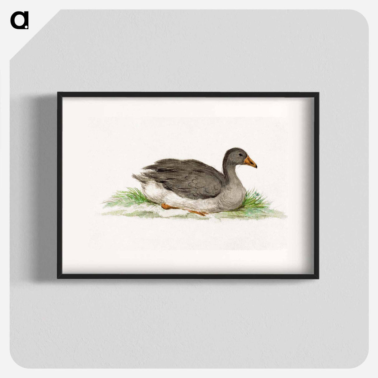 Duck - ジャン ベルナール Poster.