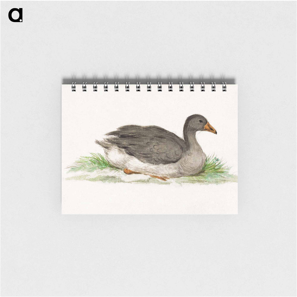 Duck - ジャン ベルナール Memo.