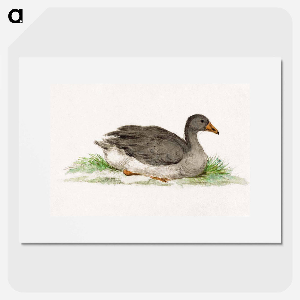 Duck - ジャン ベルナール Poster.