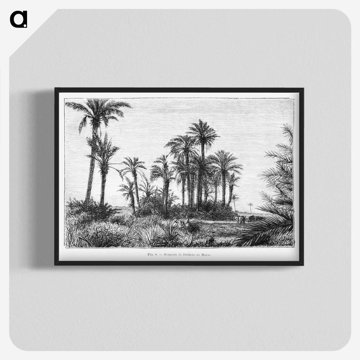 1-58_Les-Palmiers-Histoire-Iconographique_blk-crop