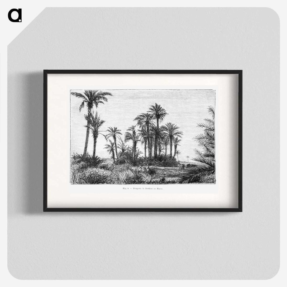 1-58_Les-Palmiers-Histoire-Iconographique_blk