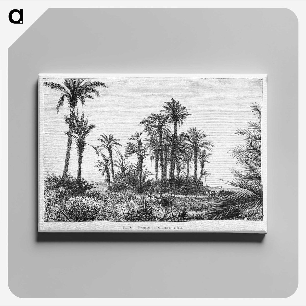 1-58_Les-Palmiers-Histoire-Iconographique_canvas