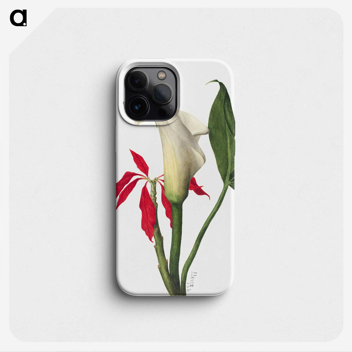 1-58_Mary-Vaux-Walcott_phone