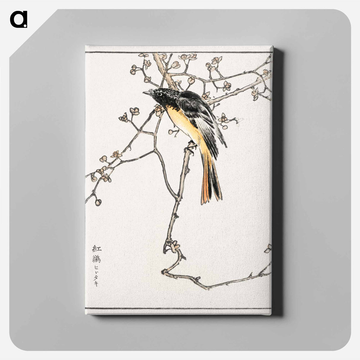 アートパネル-Siberian Blue-tail
- 鳥類図鑑 Canvas.