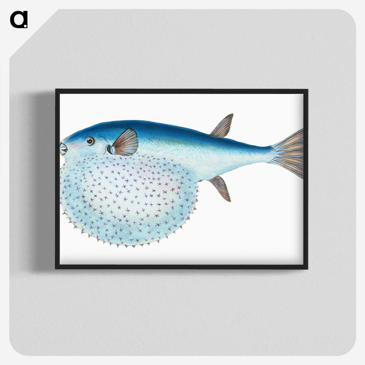 1-58_The-Natural-History-of-British-Fishes_blk-crop