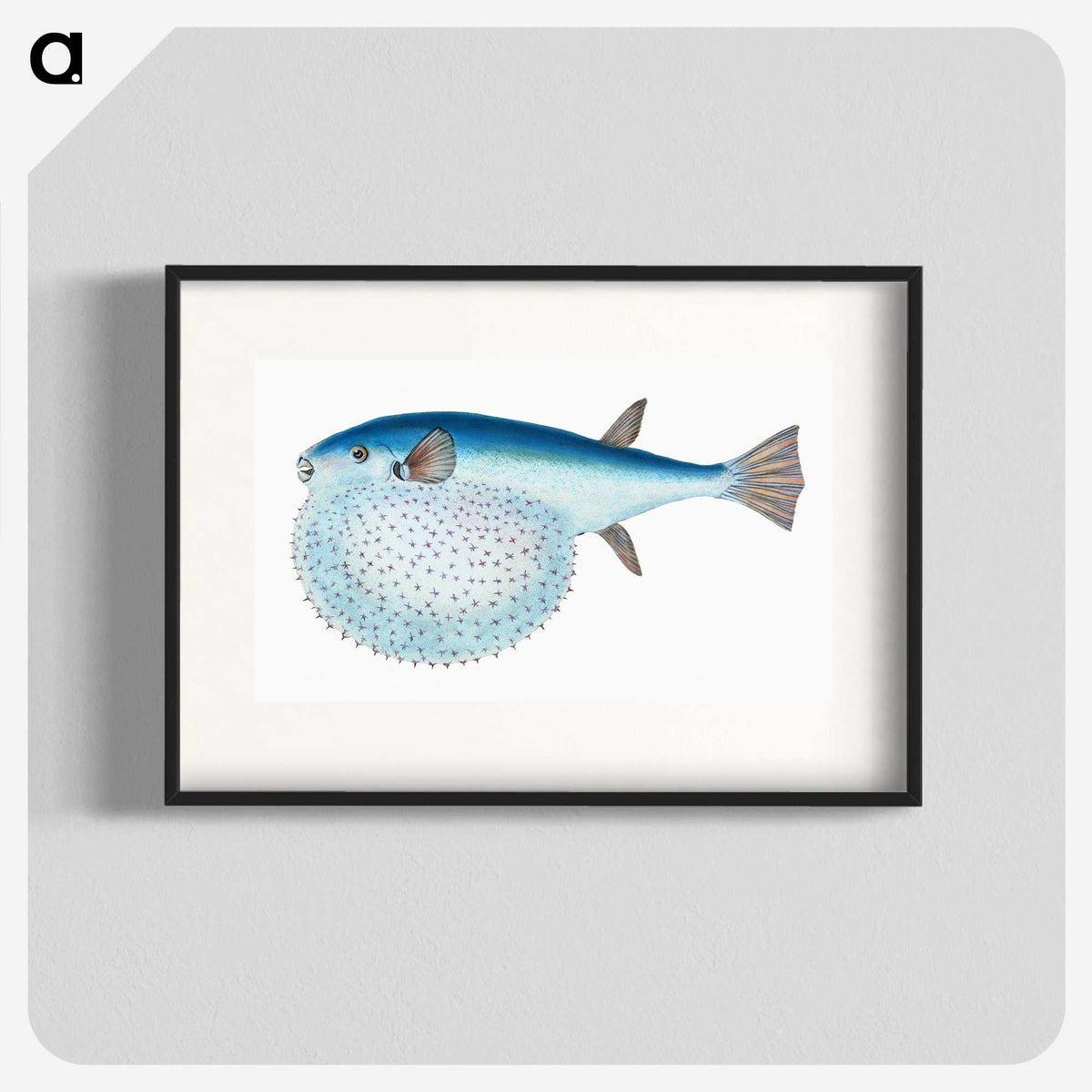 1-58_The-Natural-History-of-British-Fishes_blk