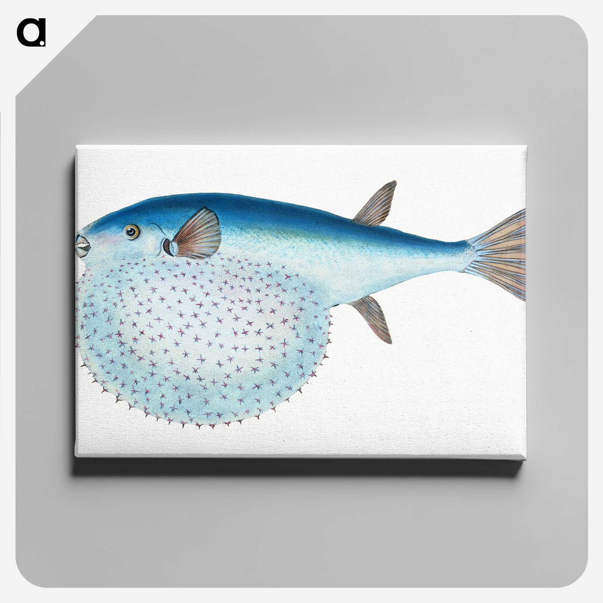 1-58_The-Natural-History-of-British-Fishes_canvas