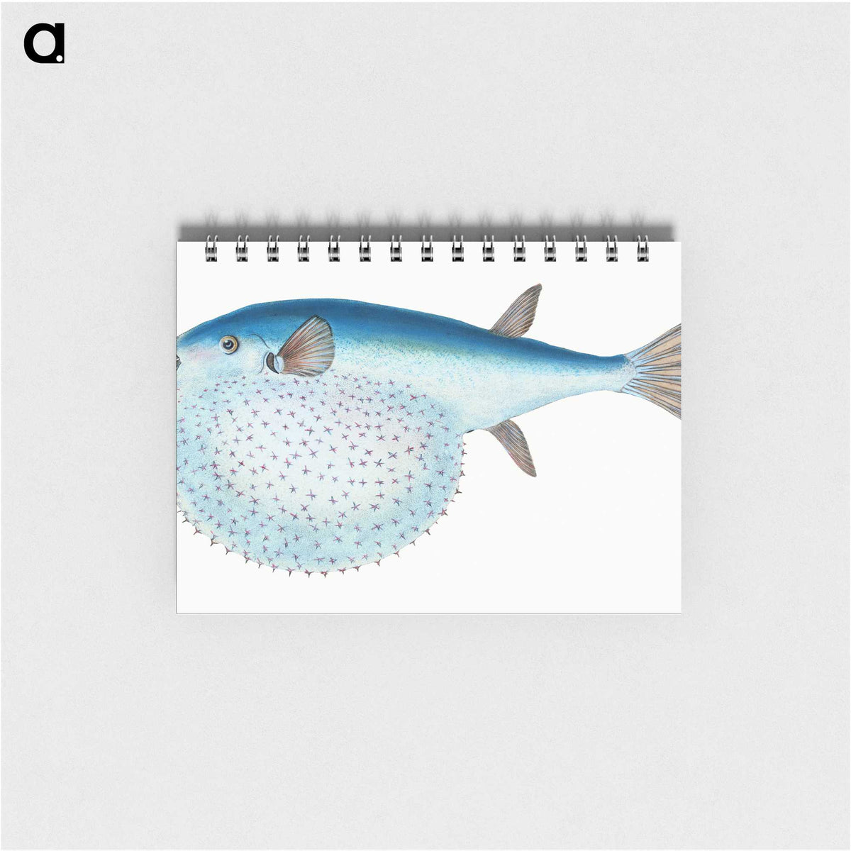 1-58_The-Natural-History-of-British-Fishes_memo