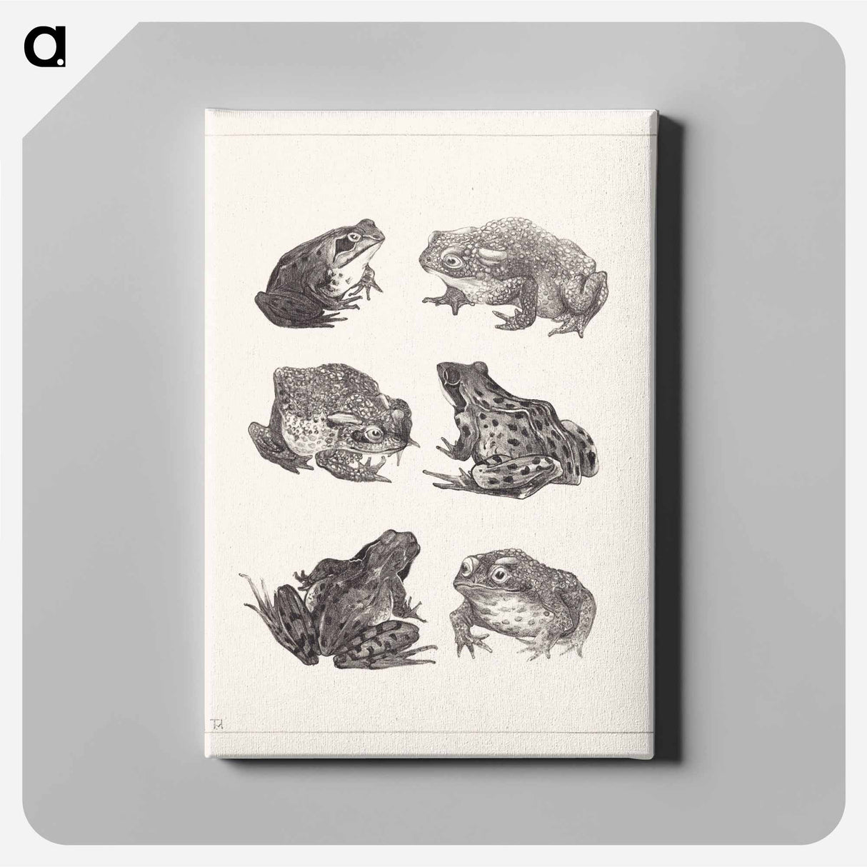 Zes kikkers en padden - テオ ヴァン ホイテマ Canvas.