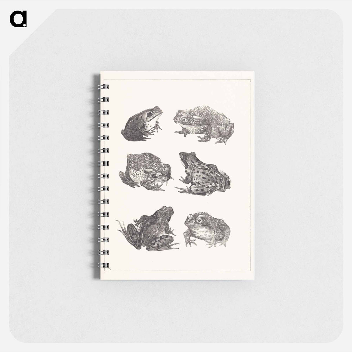 Zes kikkers en padden - テオ ヴァン ホイテマ Memo.