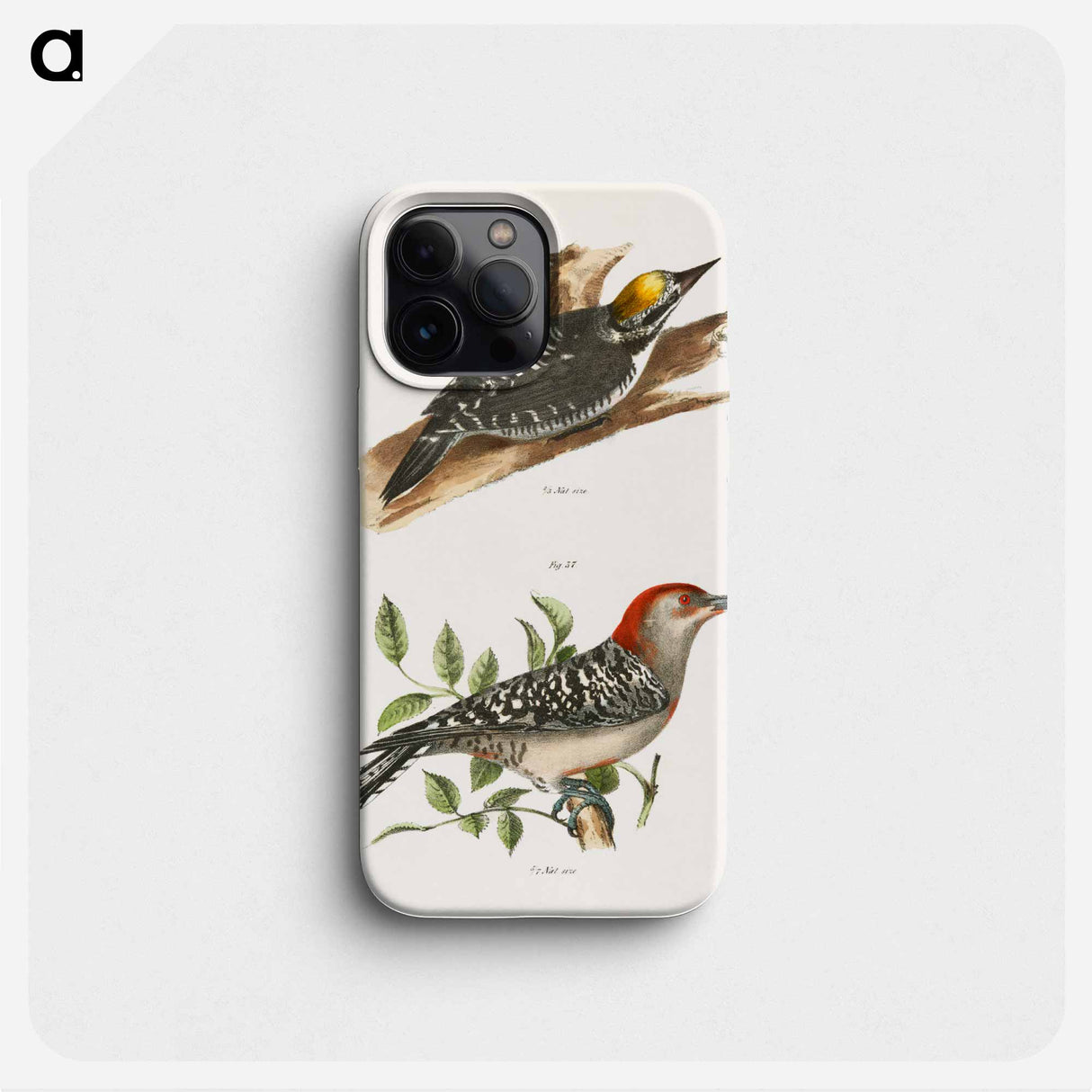 The Arctic Woodpecker (Picus arcticus) The Red-bellied Woodpecker (Picus carolinus) - ニューヨークの動物学 Phone Case.