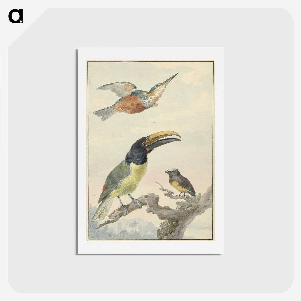 1-59_Aert-Schouman_hagaki
