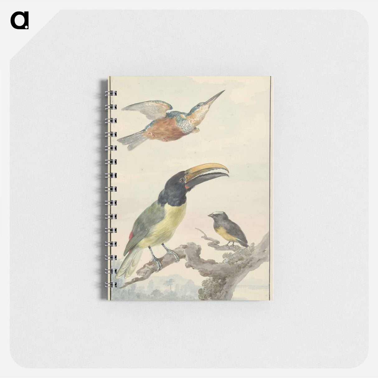 Drie vogels: een IJsvogel, een Prins von Wied's Toekan en een Organist - アールト シューマン Memo.