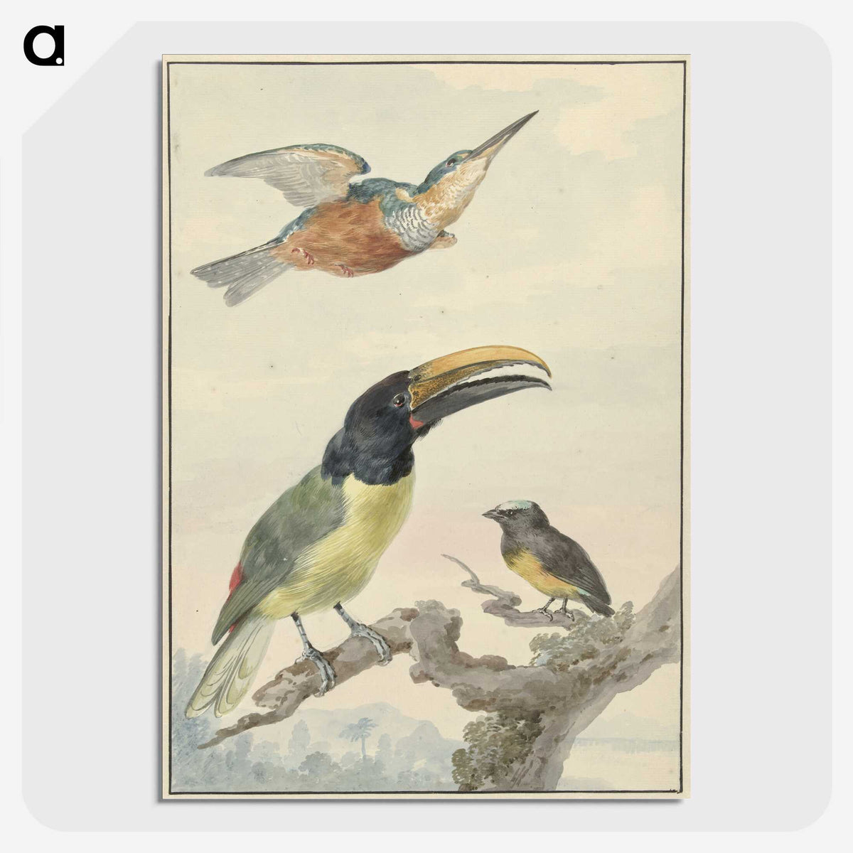 1-59_Aert-Schouman_picture-crop