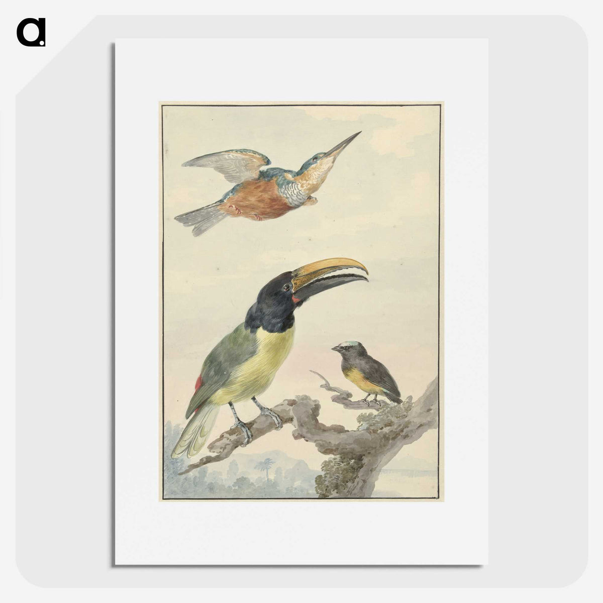 1-59_Aert-Schouman_picture