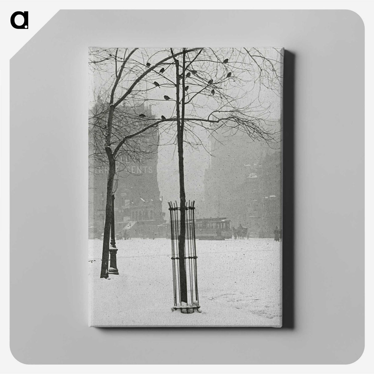 1-59_Alfred-Stieglitz_canvas