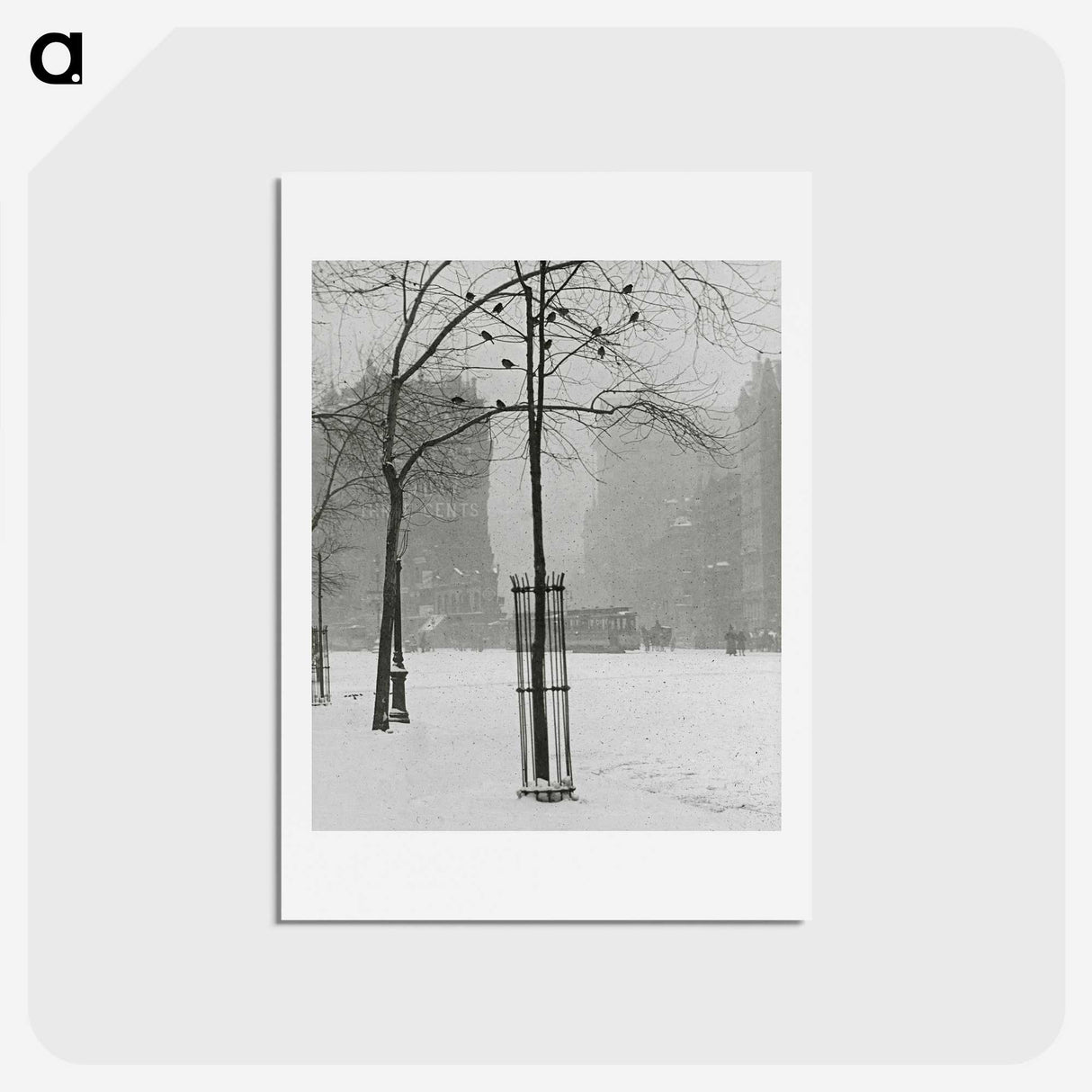 1-59_Alfred-Stieglitz_hagaki