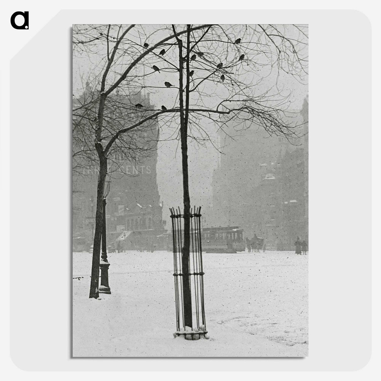 1-59_Alfred-Stieglitz_picture-crop