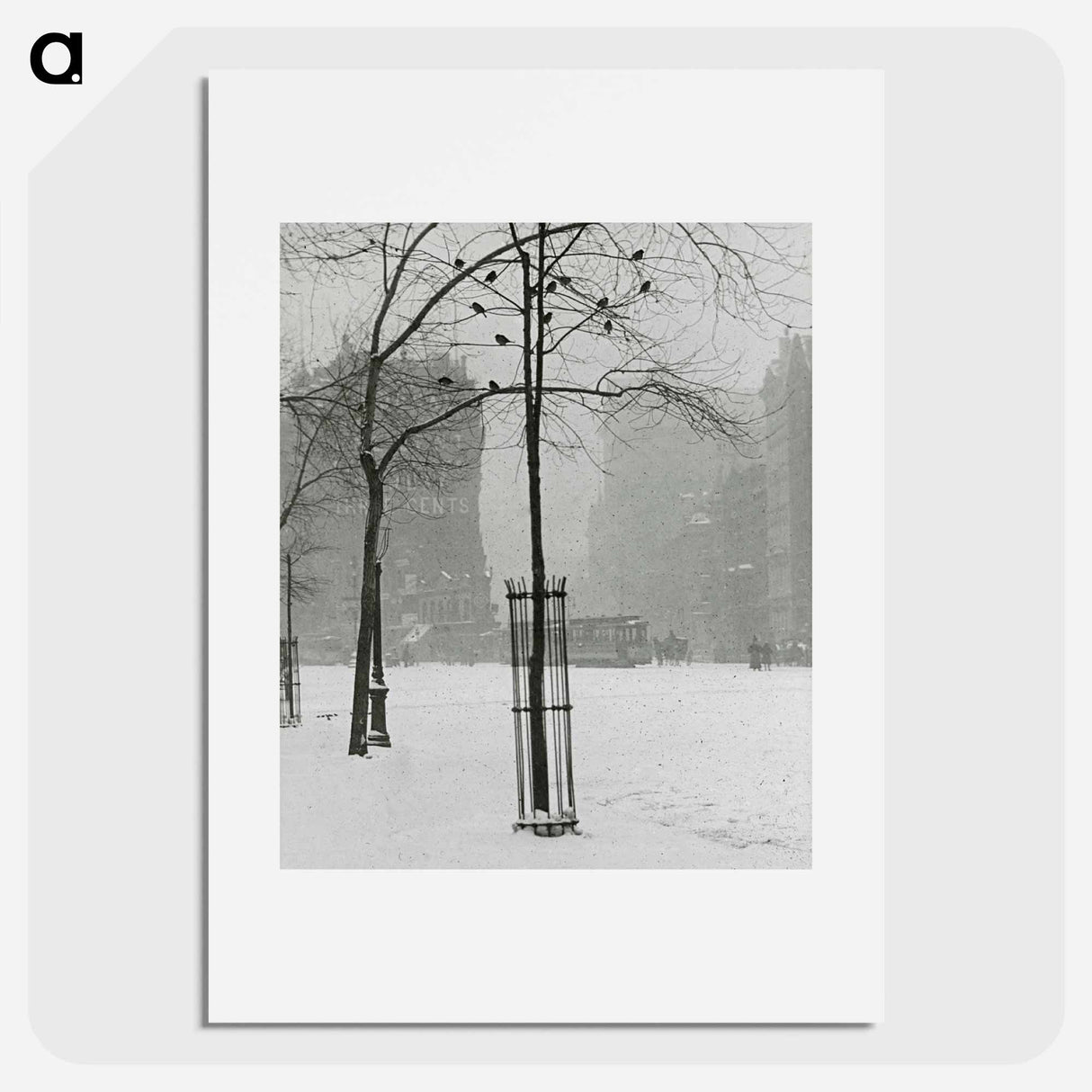 Tree in Snow, New York City - アルフレッド スティーグリッツ Poster.
