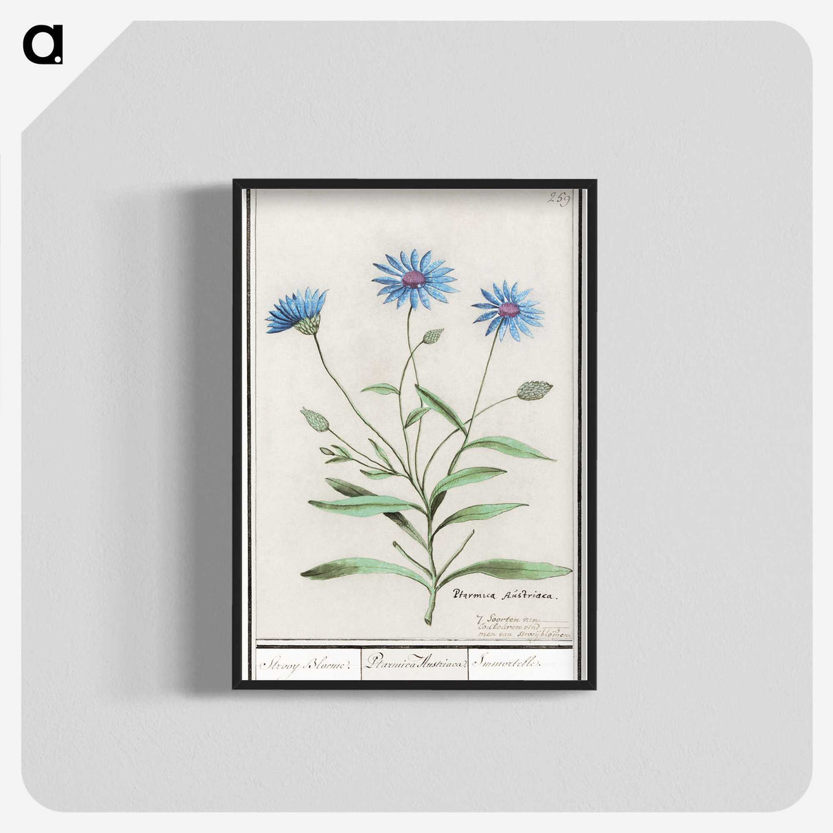1-59_Anselmus-Boetius-de-Boodt_blk-crop