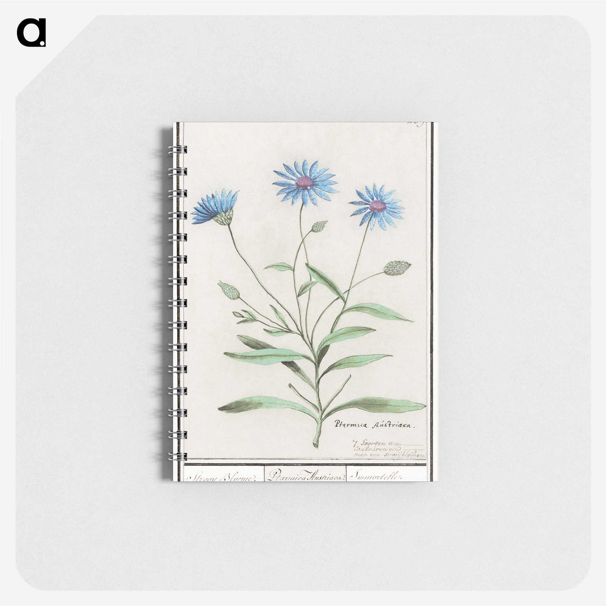1-59_Anselmus-Boetius-de-Boodt_memo