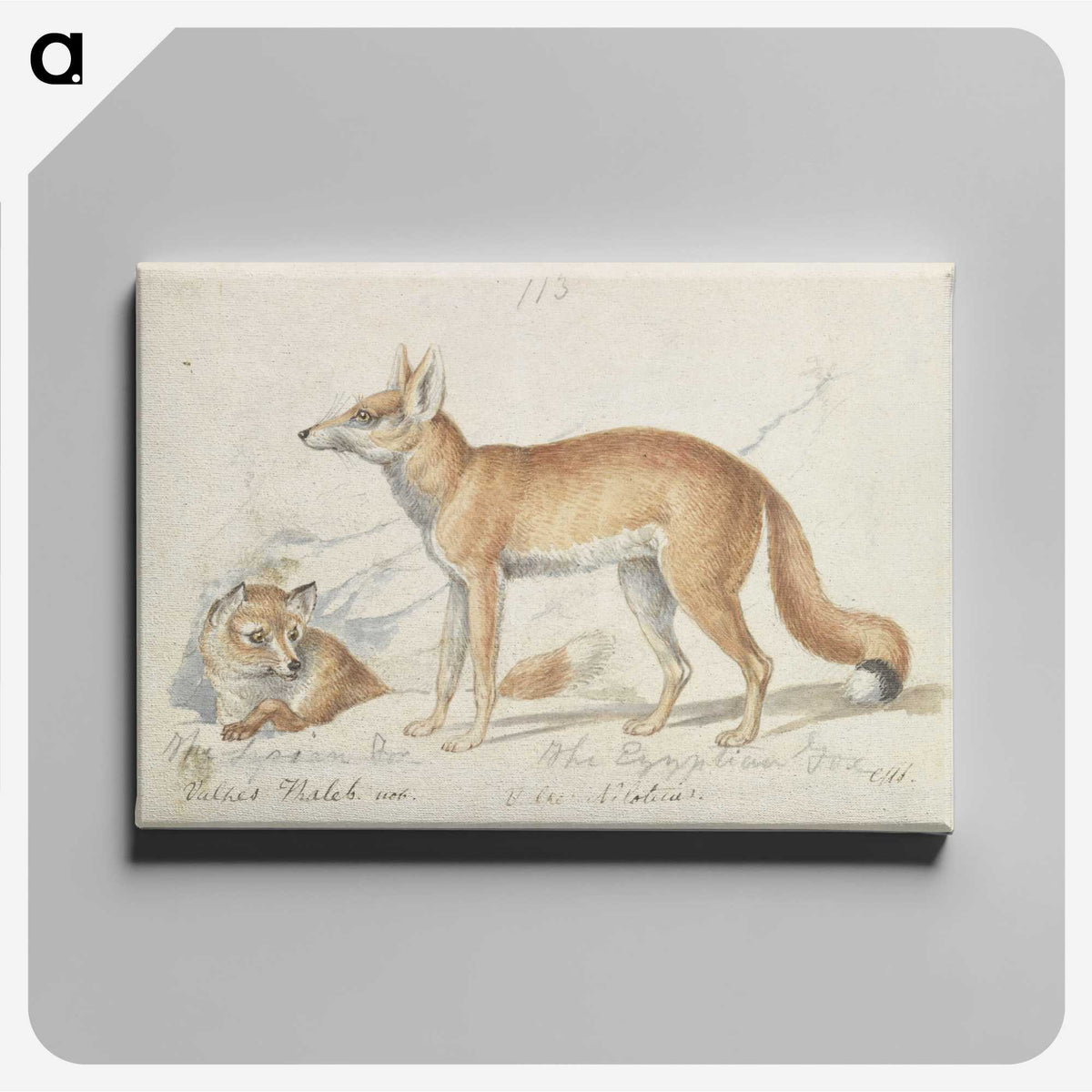 1-59_Charles-Hamilton-Smith_canvas