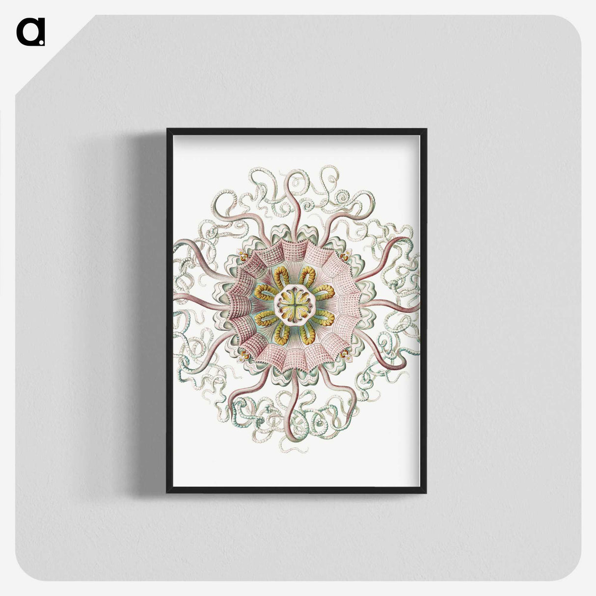 1-59_Ernst-Haeckel_blk-crop