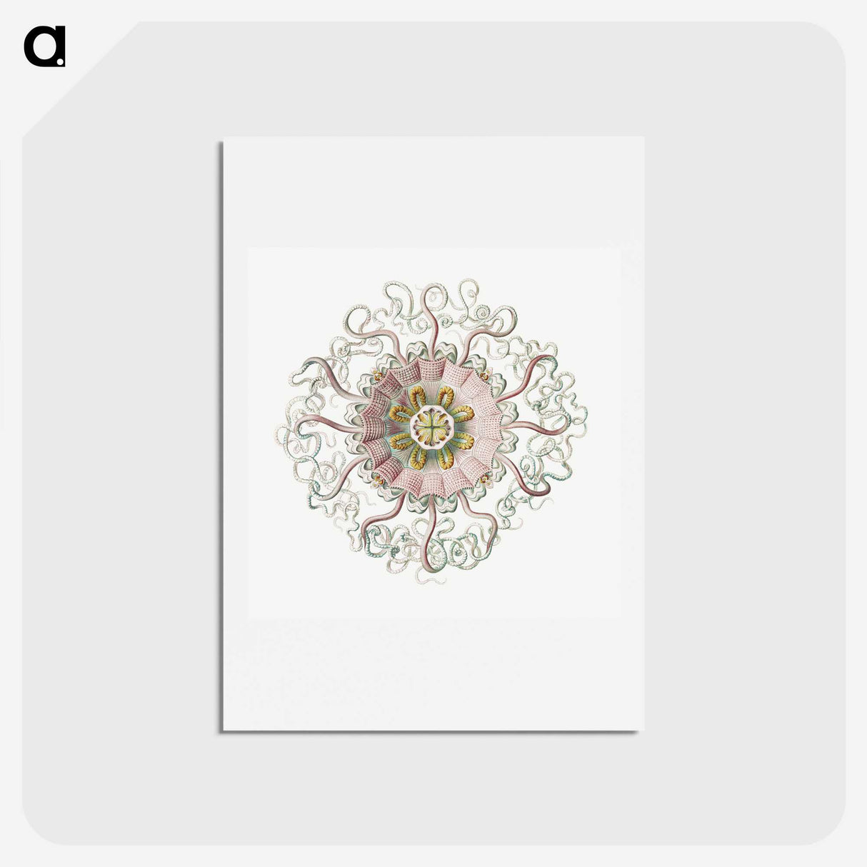 1-59_Ernst-Haeckel_hagaki