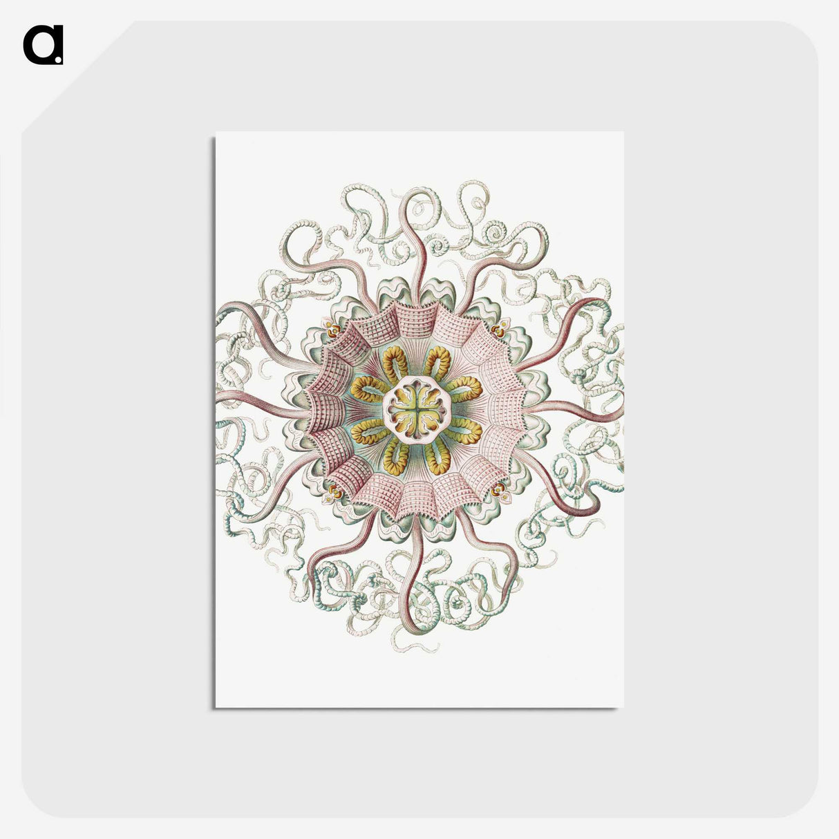 1-59_Ernst-Haeckel_postcard