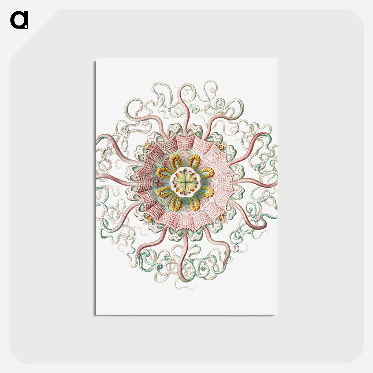 アートポストカード-Vintage jellyfish marine life illustration - エルンスト ヘッケル Postcard.