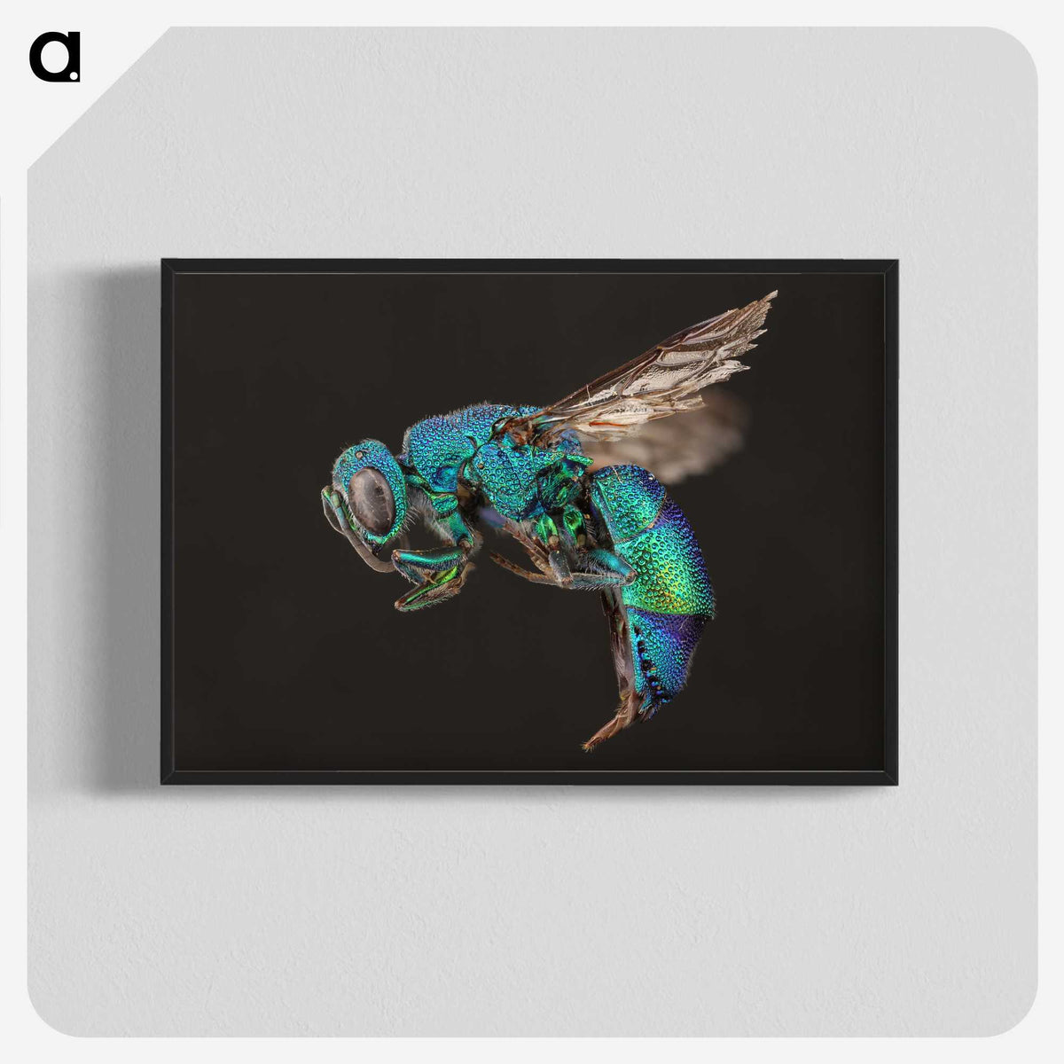 1-59_Insects-Unlocked-Project_blk-crop