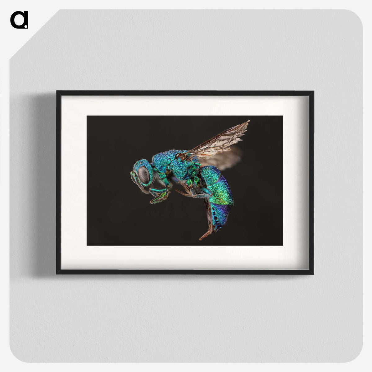 1-59_Insects-Unlocked-Project_blk
